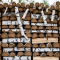Stack of neatly arranged birch logs, showcasing a distinct white bark with dark Royalty Free Stock Photo