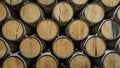 Stack of oak barrels aging tequila in Mexico