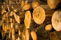 Stack of oak logs
