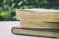 stack of old books in the garden Royalty Free Stock Photo