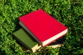 Stack of old books on green grass Royalty Free Stock Photo