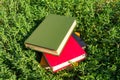 Stack of old books on green grass Royalty Free Stock Photo
