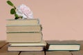 Stack of old books with rose