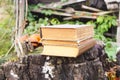 Stack of books on tree stump in autumn park Royalty Free Stock Photo