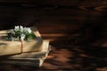 A stack of old books on a wooden background with a sprig of a flowering tree. the concept of memorabilia