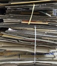 The stack of old cardboard