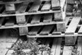 Stack of old wooden pallets Royalty Free Stock Photo