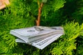 Stack of one hundred dollar bills on christmas tree. Royalty Free Stock Photo