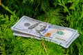 Stack of one hundred dollar bills on christmas tree. Royalty Free Stock Photo