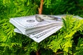 stack of one hundred dollar bills on christmas tree. Royalty Free Stock Photo