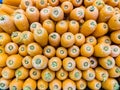 Stack of orange carrots in a market