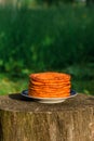 A stack of orange pumpkin pancakes on a blue dish in the sunlight, stands on a wooden stump against the background of green grass. Royalty Free Stock Photo
