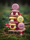 A stack of pastel-colored macarons is artfully arranged on a tree stump in a forest setting Royalty Free Stock Photo