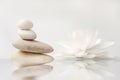 Stack of pebbles and white lily, reflection Royalty Free Stock Photo