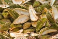 Stack of peeled durian