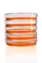 Stack of Petri Dishes Royalty Free Stock Photo