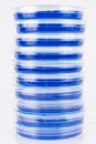 Stack of Petri Dishes Royalty Free Stock Photo