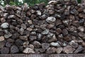 Stack of Petrified Wood Royalty Free Stock Photo