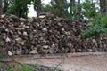 Stack of Petrified Wood Royalty Free Stock Photo