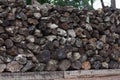 Stack of Petrified Wood Royalty Free Stock Photo