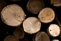 Stack, pile wood logs Royalty Free Stock Photo