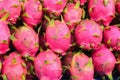 Stack Pitaya Dragon Fruit Royalty Free Stock Photo