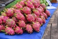 Stack Pitaya Dragon Fruit Royalty Free Stock Photo