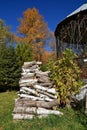 Stack of poplar firewood Royalty Free Stock Photo