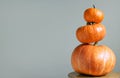 Stack of pumpkins on gray background for Halloween banner