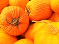 Stack of Pumpkins