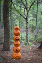 Stack of pumpkins in the woods