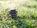 Stack pyramid stone zen pebbles nature on grass Royalty Free Stock Photo