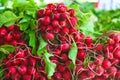 Stack of radishes on a market stall Royalty Free Stock Photo