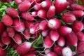 Stack of radishes on a market stall Royalty Free Stock Photo