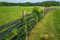 Stack Rail Fence and Ivy