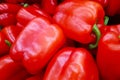 Stack of red bell peppers on a market stall Royalty Free Stock Photo