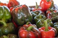 Stack of Red and Green Bell Peppers Royalty Free Stock Photo
