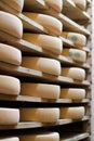 Stack of refining and aging cheese, French Comte wheels, France Royalty Free Stock Photo