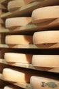 Stack of refining Comte cheese wheels on wood shelves, France Royalty Free Stock Photo