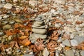 Stack of rock in a river autumn season dry leaves Royalty Free Stock Photo