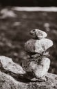 Stack Of Rocks On Norwegian Mountain, Norway Nature. Black And W