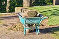 Stack of rolled grass sod for lawns and gardening in garden wheelbarrow Royalty Free Stock Photo