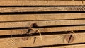 Stack of Rough Sawn Wooden Planks with Visible Knots and Grain Patterns in Warm Sunlight Royalty Free Stock Photo
