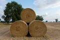 Stack of round bales of straw on a stubble field Royalty Free Stock Photo