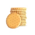 stack of round biscuit cookies. Template, mockup for crackers isolated on white background. Whole wheat biscuit