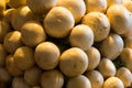 Stack of round fruits of a white radish close-up of a base design of a vegetable light a lot of vegetables