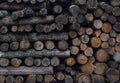 A stack of sawn firewood stacked in different directions Royalty Free Stock Photo