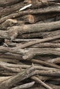 Stack of sawn timber logs to serve as firewood