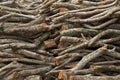 Stack of sawn timber logs to serve as firewood