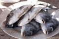 Sea Bream on a plate